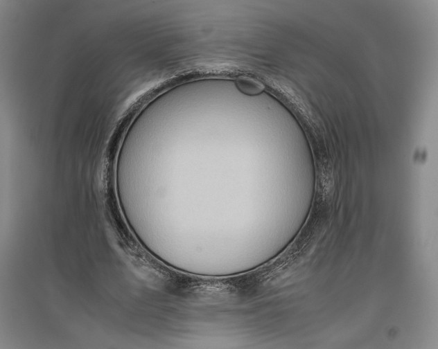 X0000096940583200802221322