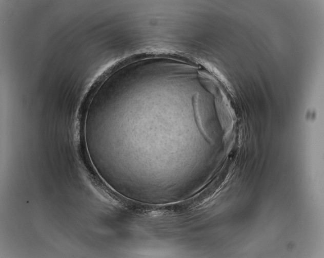 X0000096940584200802221322