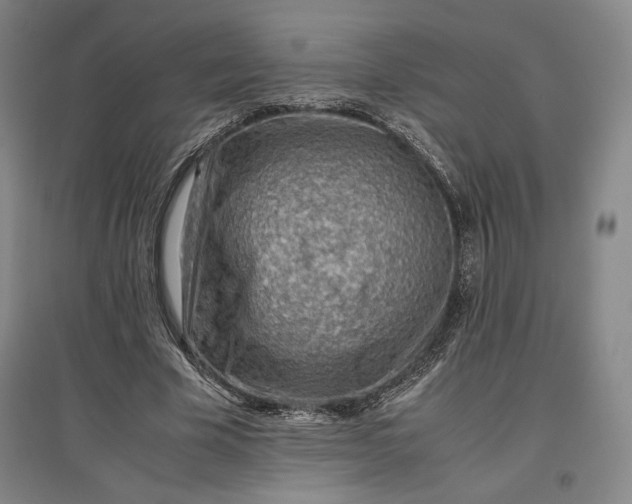 X0000096940585200802221322