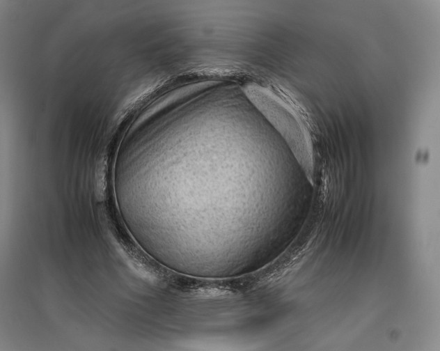 X0000096940586200802221322