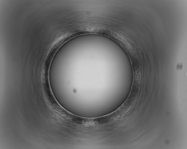 X0000096940587200802221322