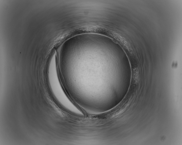 X0000096940589200802221322