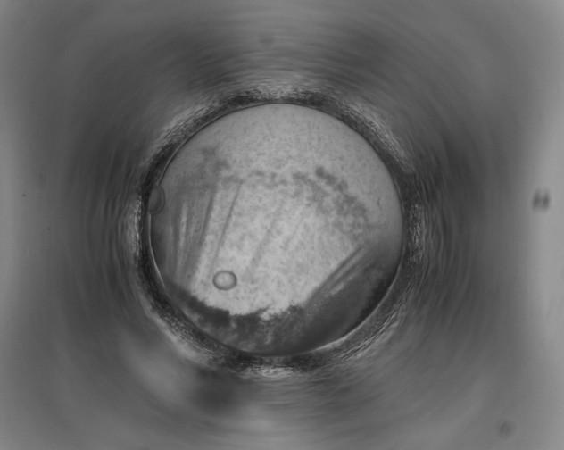 X0000096940590200802221322