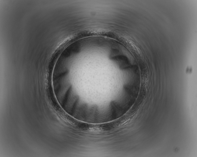 X0000096940591200802221322