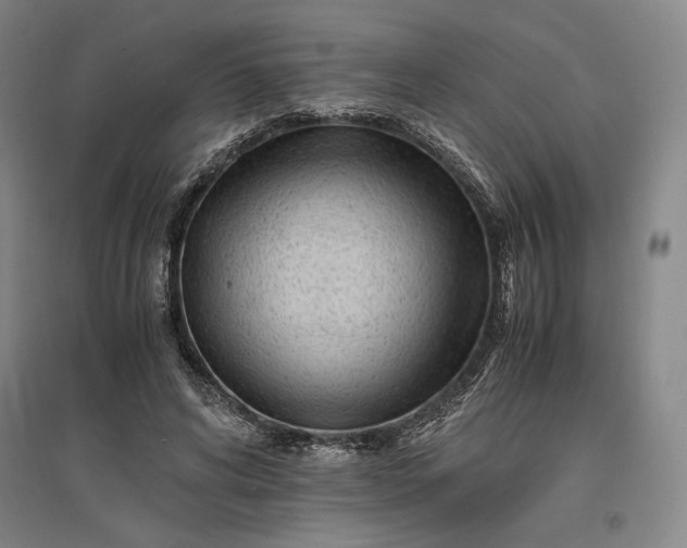 X0000096940592200802221322