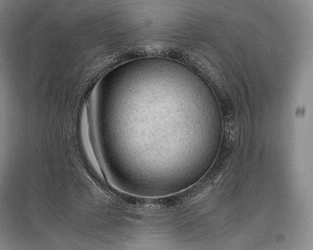 X0000096940593200802221322