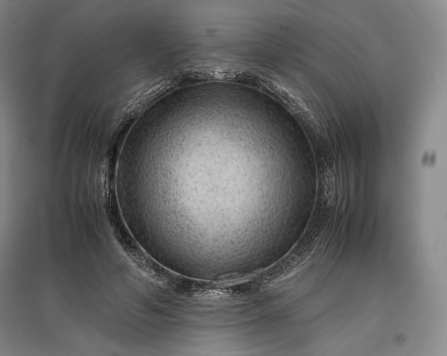 X0000096940594200802221322