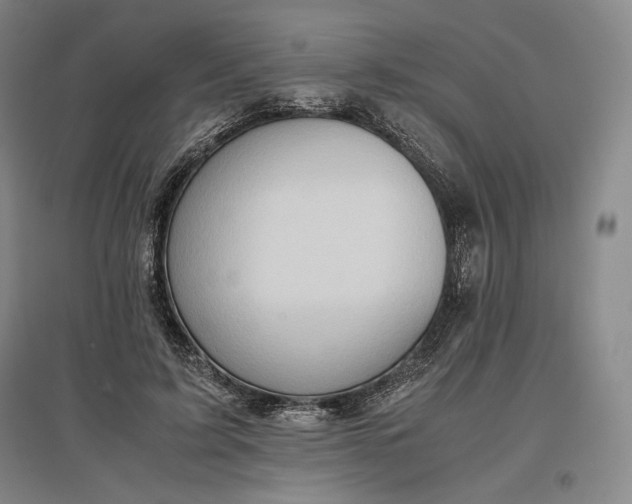 X0000096940595200802221322