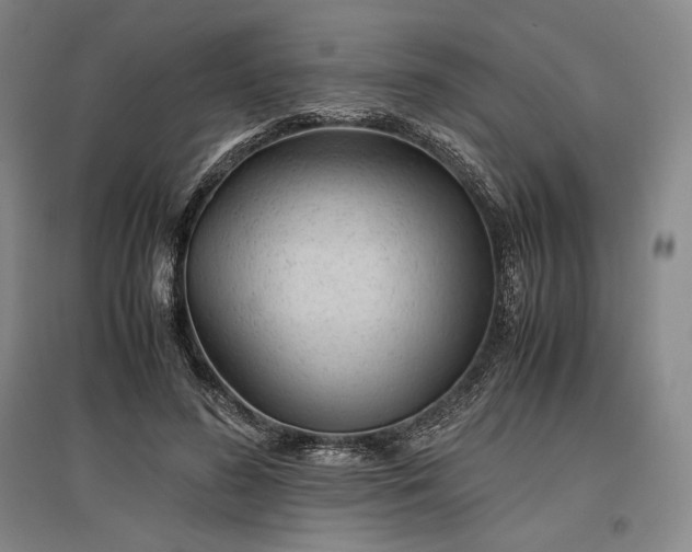 X0000096940596200802221322