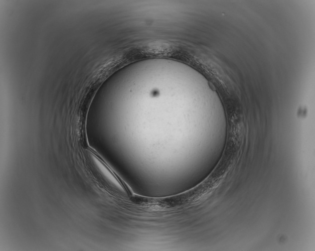 X0000096940597200802221322