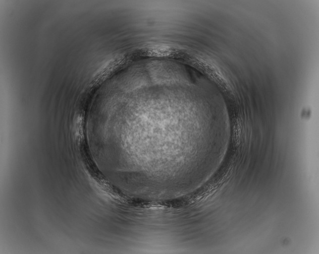 X0000096940598200802221322