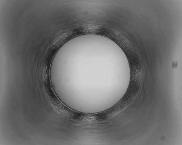 X0000096940599200802221322