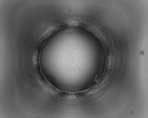 X0000096940600200802221322