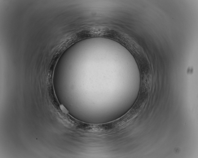 X0000096940601200802221321