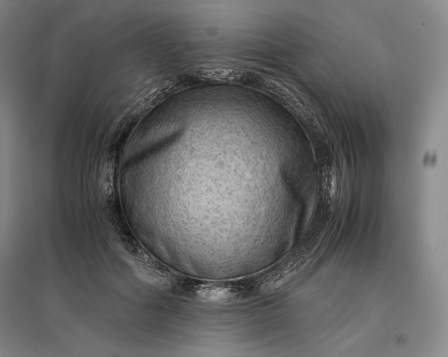 X0000096940602200802221321