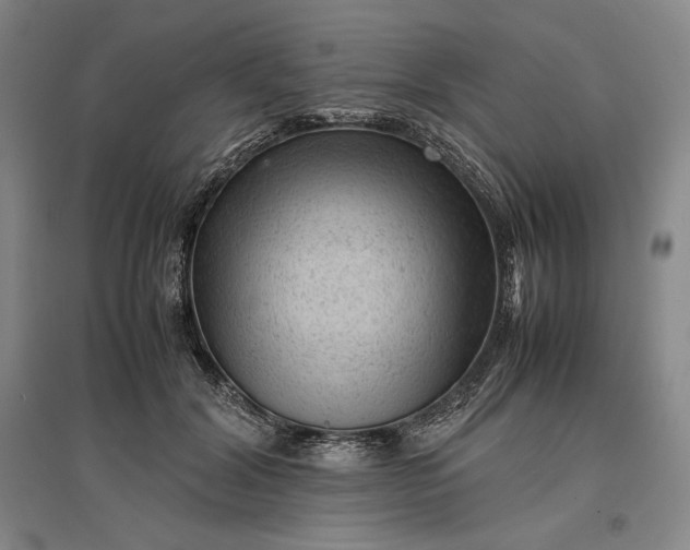 X0000096940604200802221321