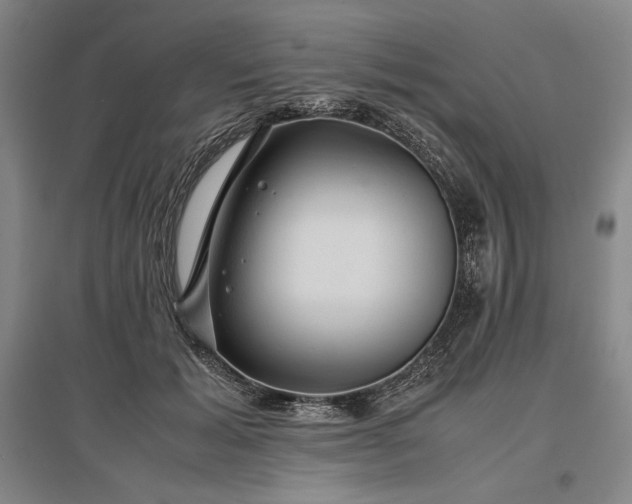 X0000096940605200802221321