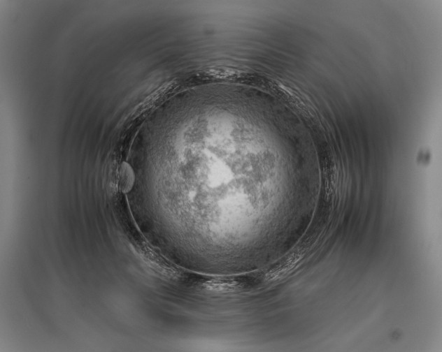 X0000096940606200802221321