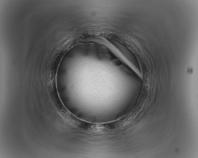 X0000096940607200802221321