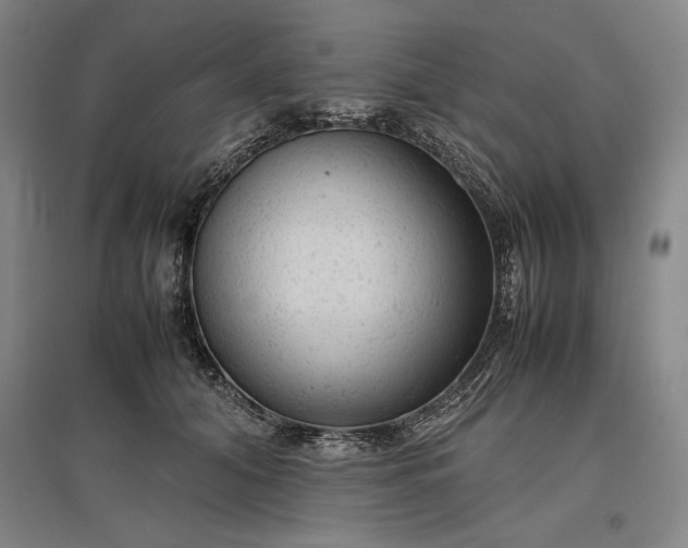 X0000096940608200802221321