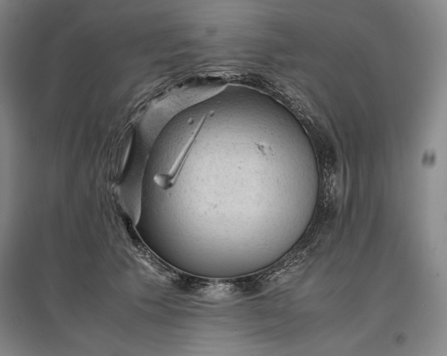 X0000096940609200802221321