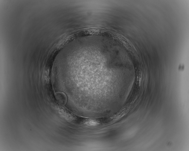 X0000096940610200802221321