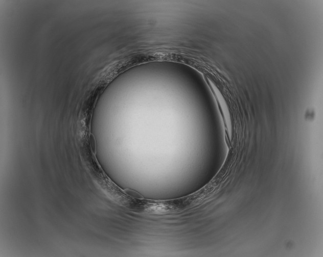 X0000096940611200802221321