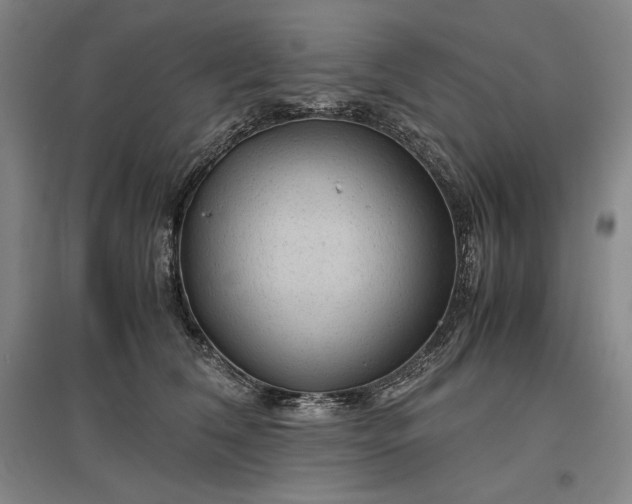 X0000096940612200802221321