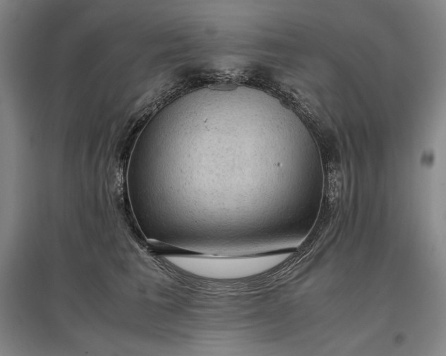 X0000096940613200802221321