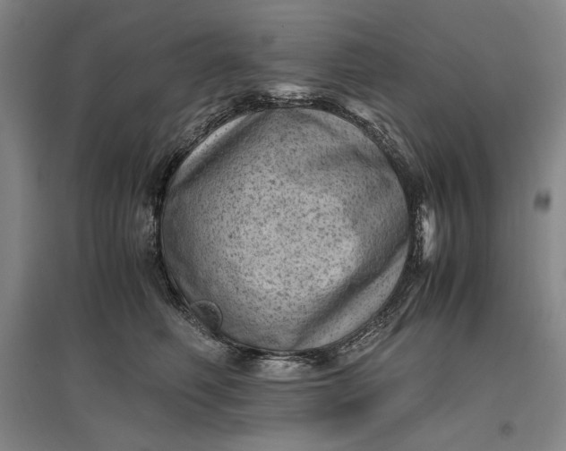 X0000096940614200802221321