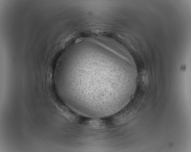 X0000096940615200802221321