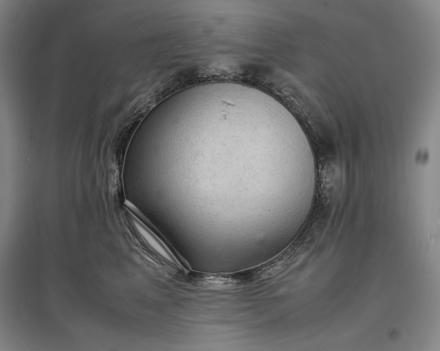 X0000096940617200802221321