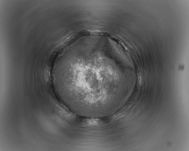 X0000096940618200802221321