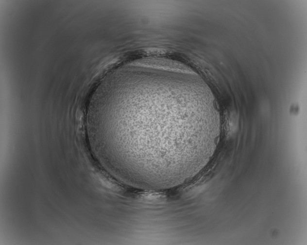 X0000096940619200802221321