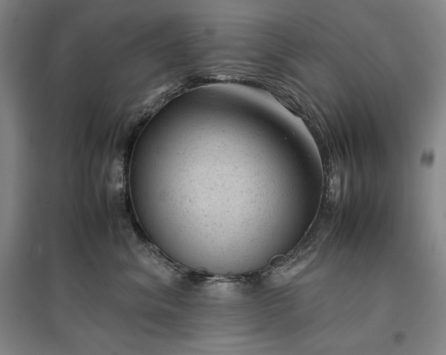 X0000096940620200802221321