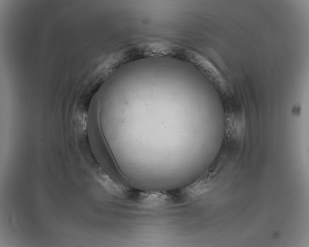 X0000096940621200802221321