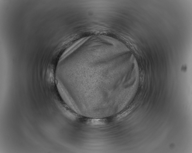 X0000096940622200802221321