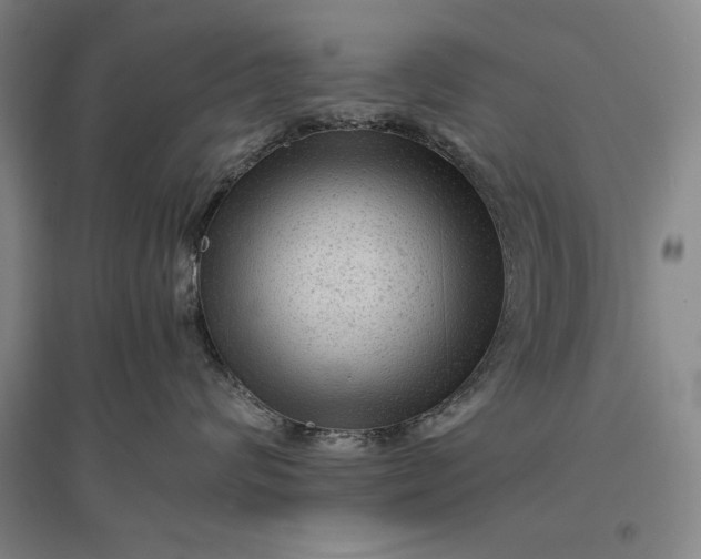 X0000096940624200802221321