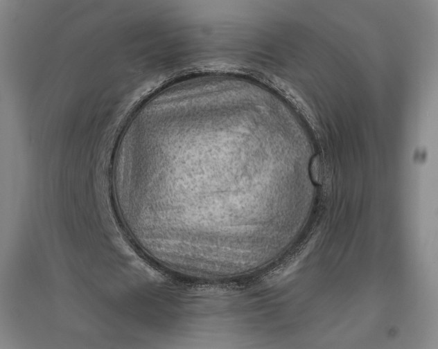 X0000096940625200802221320