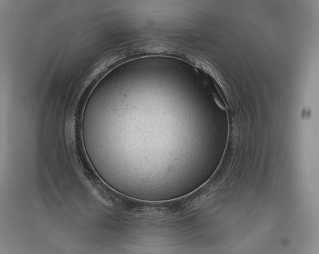 X0000096940626200802221320