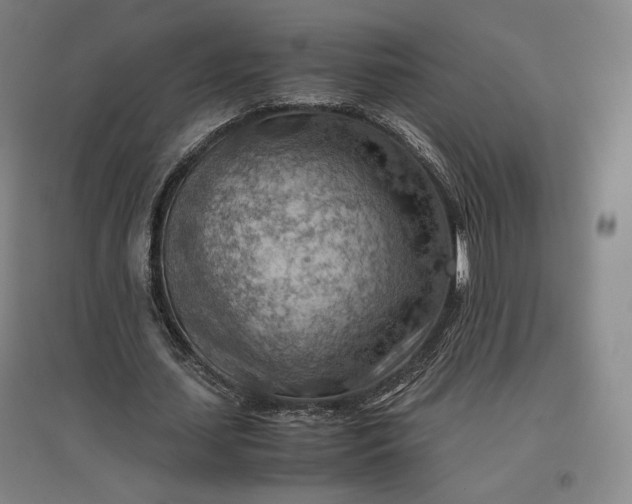 X0000096940627200802221320