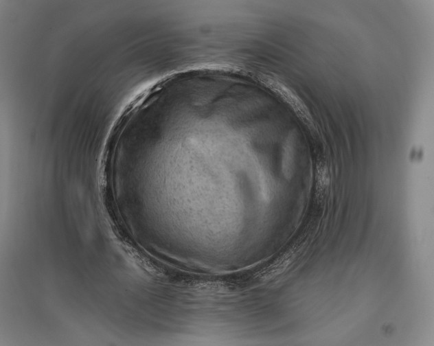 X0000096940628200802221320