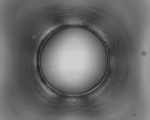 X0000096940629200802221320