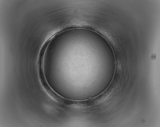 X0000096940630200802221320