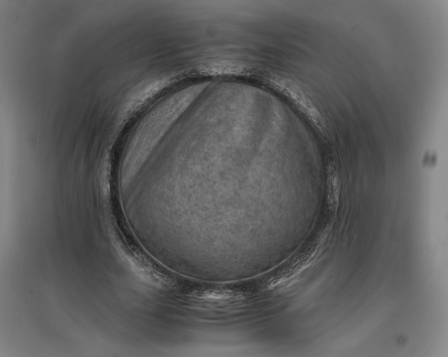 X0000096940631200802221320