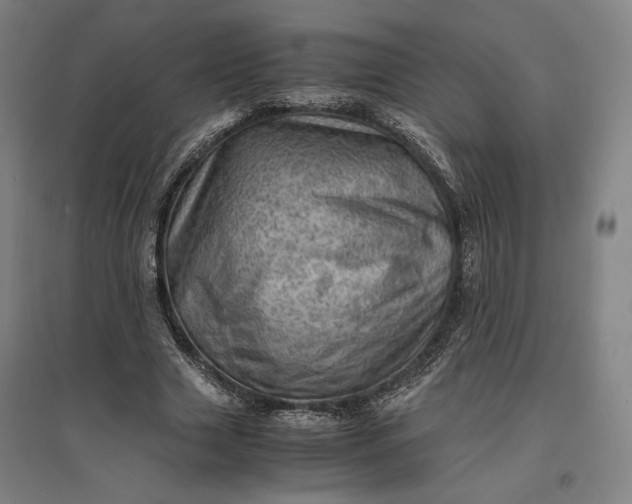 X0000096940633200802221320