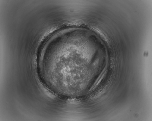 X0000096940634200802221320