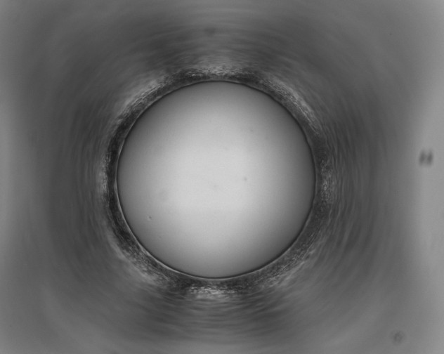 X0000096940635200802221320