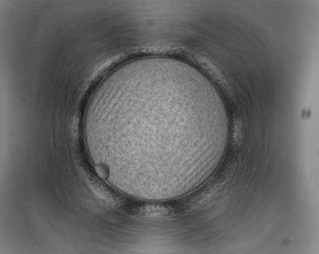 X0000096940636200802221320