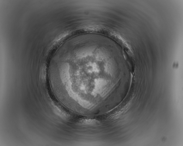 X0000096940637200802221321